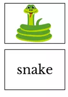 Vorschau - Bildkarten - Zoo Animals Picture + Word Cards - Seite 3