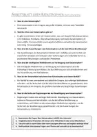 Vorschau - Arbeitsblätter - AB mit Fragen zum Thema "Katastrophen" + Lösungsblatt + Mindmap + Infografik - Seite 3