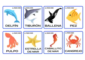 Vista previa - Juegos / Gamificación - Flashcards-Tarjetas animales marinos / sea animals - página 2
