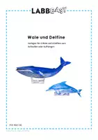 Vorschau - Mal- und Bastelvorlagen - Wale und Delfine Bastelvorlagen - Seite 2