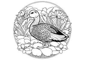 Vorschau - Mal- und Bastelvorlagen - Malvorlagen - Mandalas (Vögel) - Seite 3