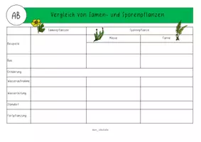 Vorschau - Arbeitsblätter - Vergleich von Samenpflanzen und Sporenpflanzen - Seite 3