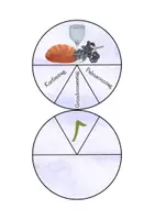 Vorschau - Spiele - Klammerkarten "Feiertage in der Passions- und Osterzeit" - Seite 3