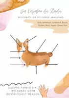 Vorschau - Arbeitsblätter - Materialsammlung Schulhund kennenlernen - Seite 3