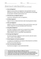 Vorschau - Arbeitsblätter - AB mit Fragen zum Thema "Nagetiere" + Lösungsblatt + Infografik - Seite 2
