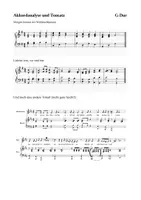 Vorschau - Arbeitsblätter - Material 4: Akkordanalyse und Tonsatz (G-Dur) - Seite 2