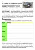 Vorschau - Arbeitsblätter - Sederteller - Die Bedeutung der Speisen - Seite 2