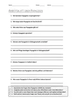 Vorschau - Arbeitsblätter - AB mit Fragen zum Thema "Papageien" + Lösungsblatt + Infografik - Deckblatt