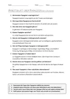 Vorschau - Arbeitsblätter - AB mit Fragen zum Thema "Papageien" + Lösungsblatt + Infografik - Seite 2