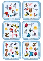Vista previa - Juegos / Gamificación - Juego de cartas de aves y animales voladores - página 3