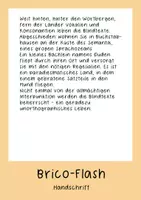 Vorschau - selbst erstellte Schriftarten - Schriftart für dein Arbeitsmaterial - BricoFlash - Seite 2