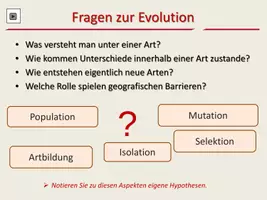 Vorschau - Unterrichtsreihen - Evolutionsfaktoren zum Selbstlernen - Seite 2