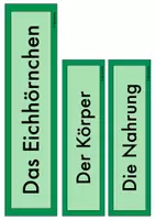 Vorschau - Bildkarten - Tafelmaterial Eichhörnchen (Körper, Nahrung, Feinde) - Seite 1