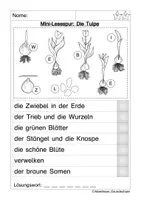 Vorschau - Arbeitsblätter - Tulpe Lesespur - Seite 2