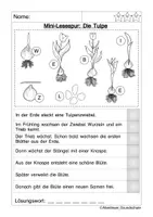 Vorschau - Arbeitsblätter - Tulpe Lesespur - Seite 3