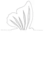 Vorschau - Mal- und Bastelvorlagen - Materialpaket: Tierische Fensterbilder (Faltschnitt) - Seite 3