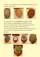 Vorschau - Arbeitsblätter - Kresseigel aus Ton - Anleitung mit Bildern - Seite 3