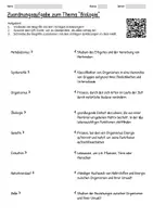 Vorschau - Arbeitsblätter - Arbeitsblätter zum Thema "Biologie" + Lösung & MP3 + Mindmap + Infografik - Seite 3