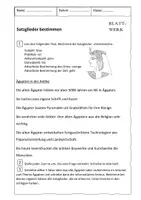 Vorschau - Arbeitsblätter - Arbeitsblätter: Satzglieder bestimmen_fächerübergreifendes zum Sachunterricht - Seite 2