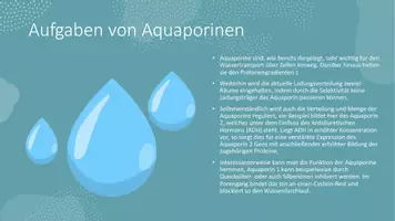 Vorschau - Stundenentwürfe - Aquaporine - Lernkarten und Texte für Biologie / Chemie - Seite 2