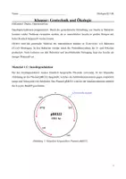 Vorschau - Klassenarbeiten - Klausur + Erwartungshorizont: Gentechnische Herstellung von Insulin - Seite 3