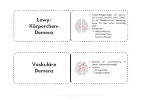 Vorschau - Arbeitsblätter - Lernkarten Demenz Ausbildungsvorbereitung DAZ - Seite 2