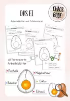 Vorschau - Arbeitsblätter - Das Hühnerei - Arbeitsblätter und Tafelmaterial - Deckblatt