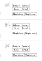 Vorschau - Arbeitsblätter - Das Hühnerei - Arbeitsblätter und Tafelmaterial - Seite 3