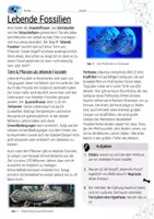 Vorschau - Arbeitsblätter - Lebende Fossilien / Evolution - AB mit Lösungen - Seite 1
