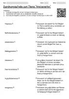 Vorschau - Arbeitsblätter - Arbeitsblätter zum Thema "Ameisen" + Lösung & MP3 + Mindmap + Infografik - Seite 3