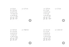 Vorschau - Aufgabenkarten - PARALLELOGRAMM (Umfang) - 24 Aufgabenkärtchen - Seite 3