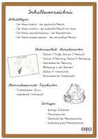 Vorschau - Arbeitsblätter - Einheit Steinzeit - Seite 2