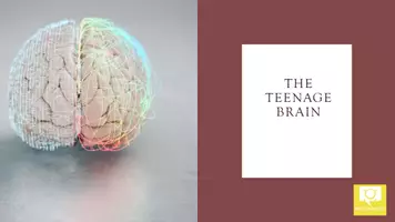 Vorschau - Arbeitsblätter - Englisch Einführungsphase - Teenage life/growing up- The teenage brain Netflix explained - Deckblatt