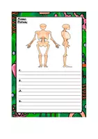 Vorschau - Arbeitsblätter - Anatomie Menschlicher Körper - Seite 2