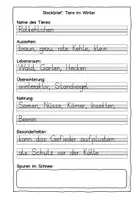 Vorschau - Arbeitsblätter - Tiere im Winter - Steckbriefe als Planungshilfe für Plakate - Seite 2