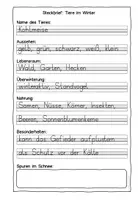 Vorschau - Arbeitsblätter - Tiere im Winter - Steckbriefe als Planungshilfe für Plakate - Seite 3