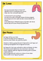 Vorschau - Aufgabenkarten - Organe - Karteikarten mit Lesetexten - Seite 3