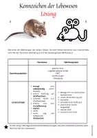Vorschau - Arbeitsblätter - Kennzeichen der Lebewesen Freebie NaWi Biologie Grundlagen Gymnasium Gesamtschule - Seite 2
