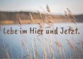 Vorschau - Poster - 40 Motivationskarten mit positiven Gedanken - Seite 3