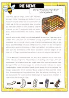 Vorschau - Text - Lesekartei zur Honigbiene - Wirbellose - Seite 2