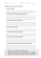 Vorschau - Arbeitsblätter - AB mit Fragen zum Thema "Sklaven" + Lösungsblatt + Infografik - Deckblatt