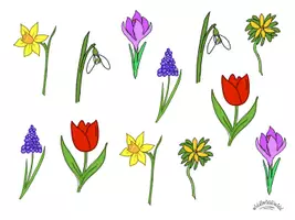 Vorschau - Mal- und Bastelvorlagen - Muffin-Topper / Cake-Topper / Spieße „FRÜHBLÜHER“ (Schneeglöckchen, Winterling, Krokus, Traubenhyanzinthe, Narzisse, Tulpe) - Frühling - Seite 1