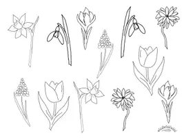 Vorschau - Mal- und Bastelvorlagen - Muffin-Topper / Cake-Topper / Spieße „FRÜHBLÜHER“ (Schneeglöckchen, Winterling, Krokus, Traubenhyanzinthe, Narzisse, Tulpe) - Frühling - Seite 2