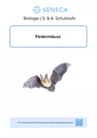 Vorschau - Arbeitsblätter - Fledermäuse - KOSTENLOS - Biologie 5. & 6. Klasse - Deckblatt