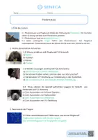 Vorschau - Arbeitsblätter - Fledermäuse - KOSTENLOS - Biologie 5. & 6. Klasse - Seite 2