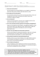 Vorschau - Arbeitsblätter - AB mit Fragen zum Thema "Suchmaschinen" + Lösungsblatt + Infografik - Seite 2