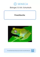Vorschau - Arbeitsblätter - Froschlurche - Biologie 5. & 6. Klasse - Deckblatt