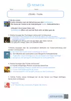 Vorschau - Arbeitsblätter - Früchte - KOSTENLOS - Biologie 5. & 6. Klasse - Seite 2