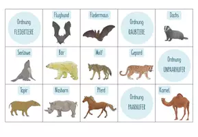 Vorschau - Spiele - Säugetiere Systematik – Sortieraktivität - Seite 2