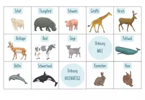Vorschau - Spiele - Säugetiere Systematik – Sortieraktivität - Seite 3